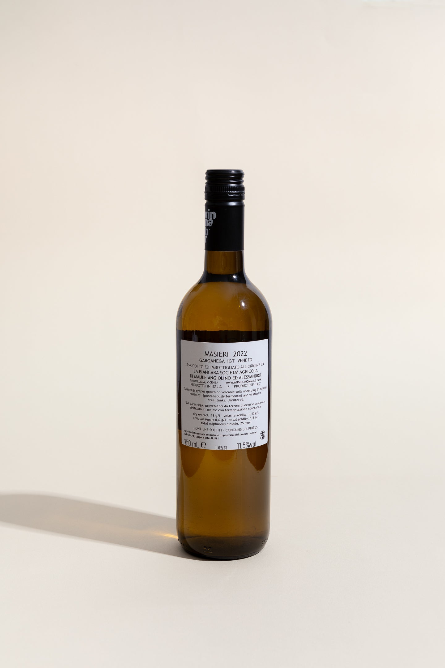 Masieri Bianco 2023, Angiolino Maule