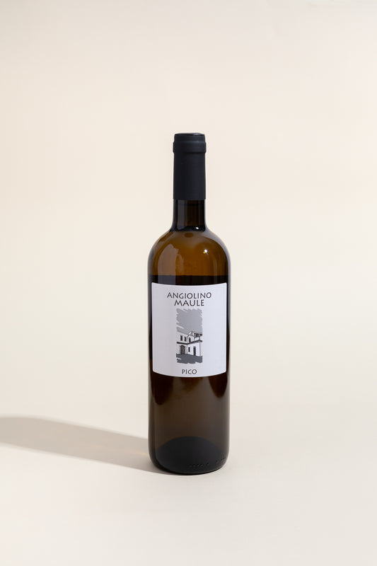 Angiolino Maule, Pico 2019