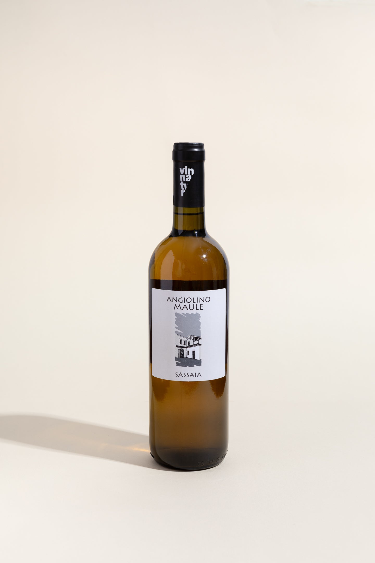 Sassaia 2022, Angiolino Maule